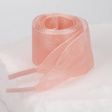 Organza Shoe Lace